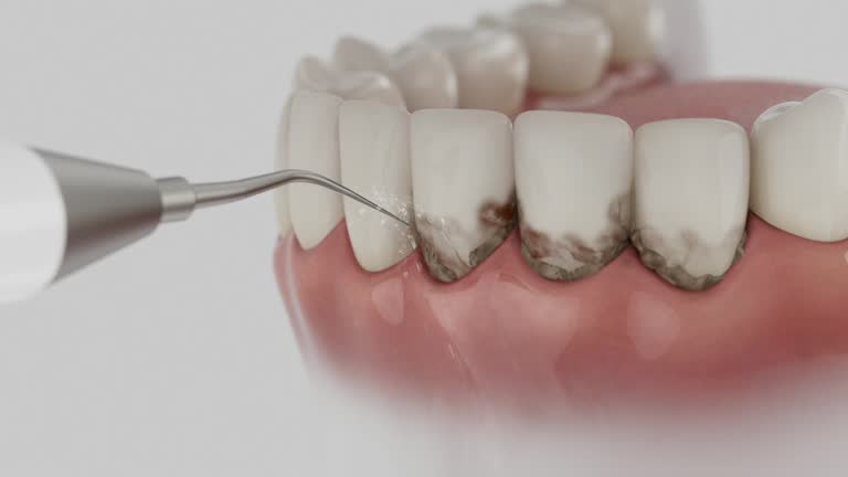 Reliable Dental contractor in Sweetwater County County, WY by Dentist Open Now